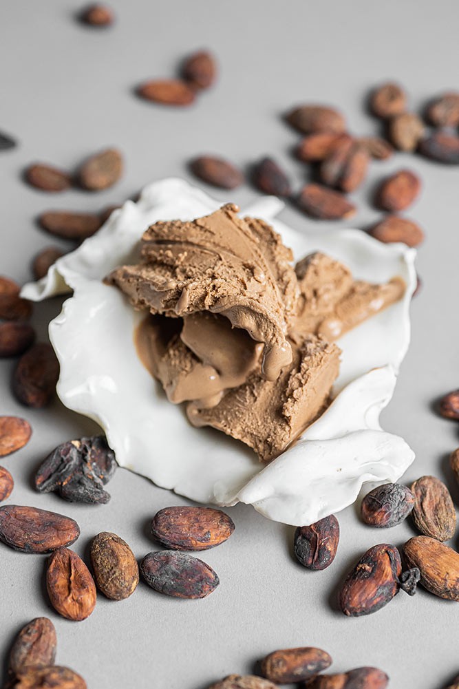 Crème Glacée Chocolat